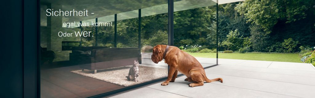 Ein Hund sitzt vor einem großen Glasfenster